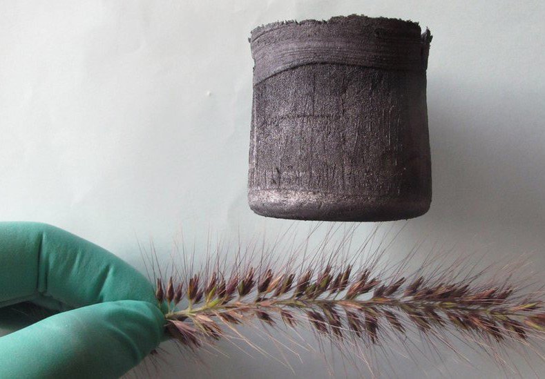 Graphene Aerogel